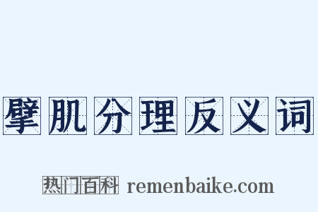 擘肌分理反义词是什么意思的图片